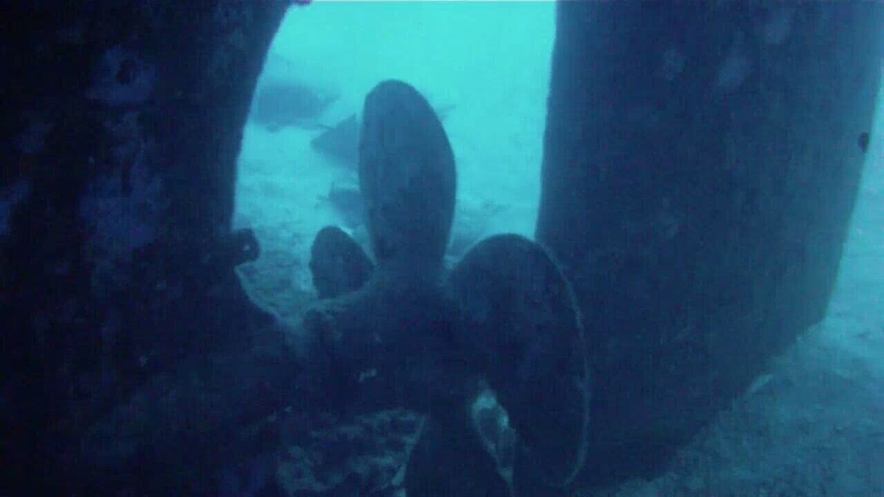 Um El Faroud Wreck