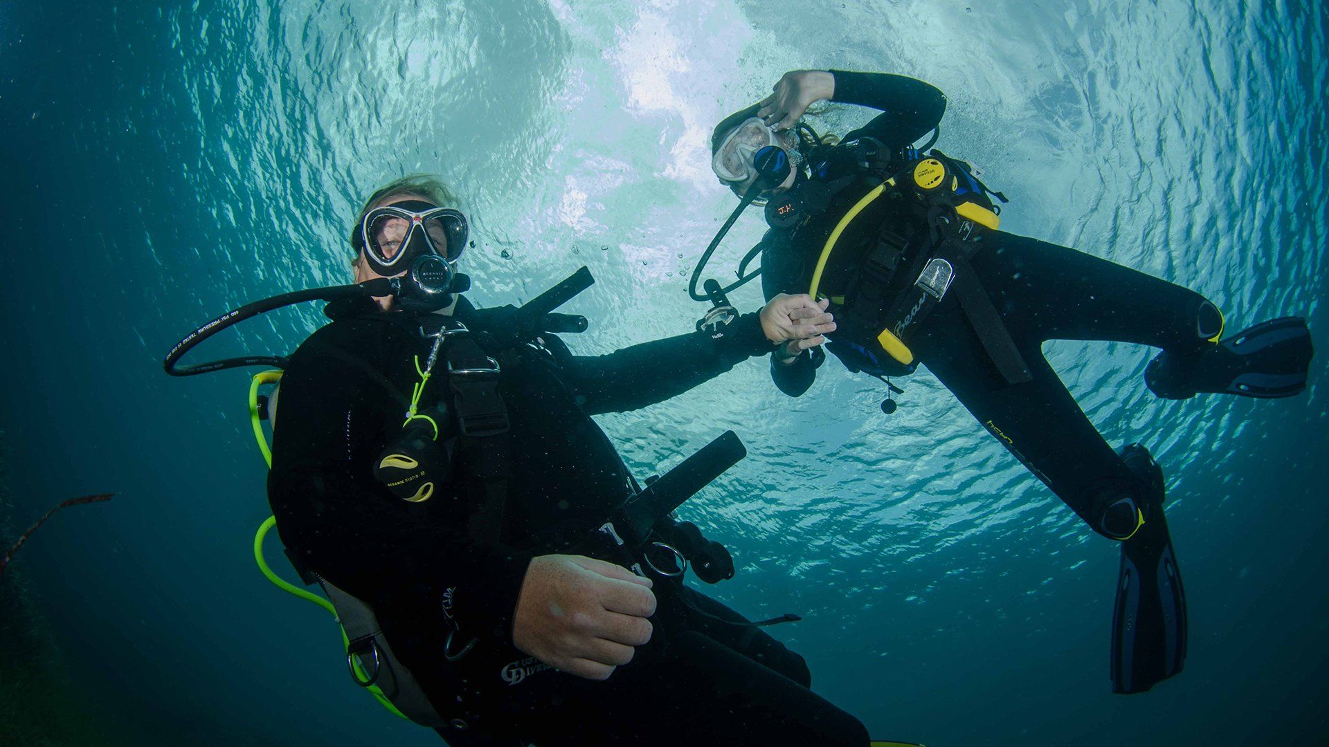 Beginner Courses