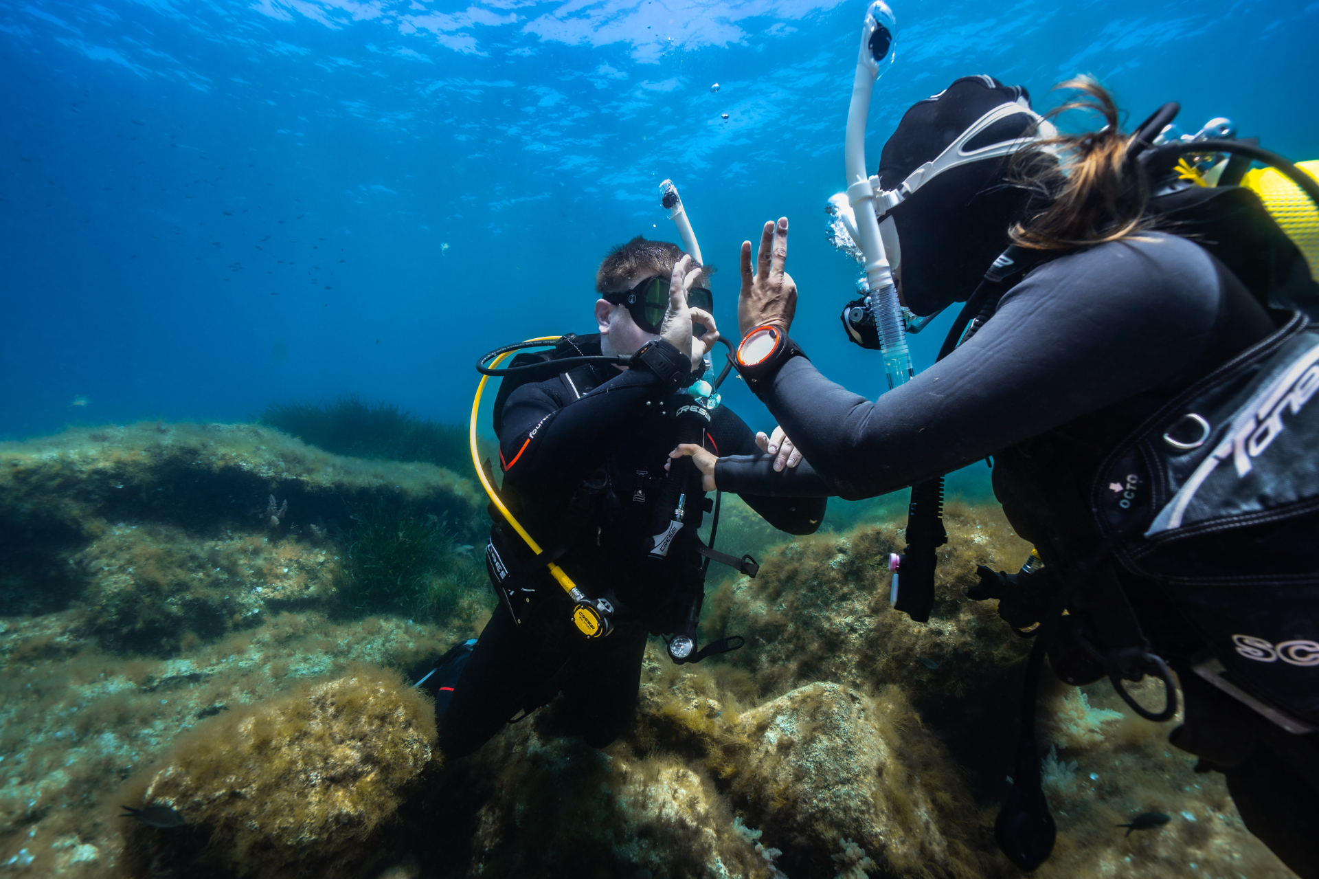 Go Pro Professional Courses — Scuba Life Malta