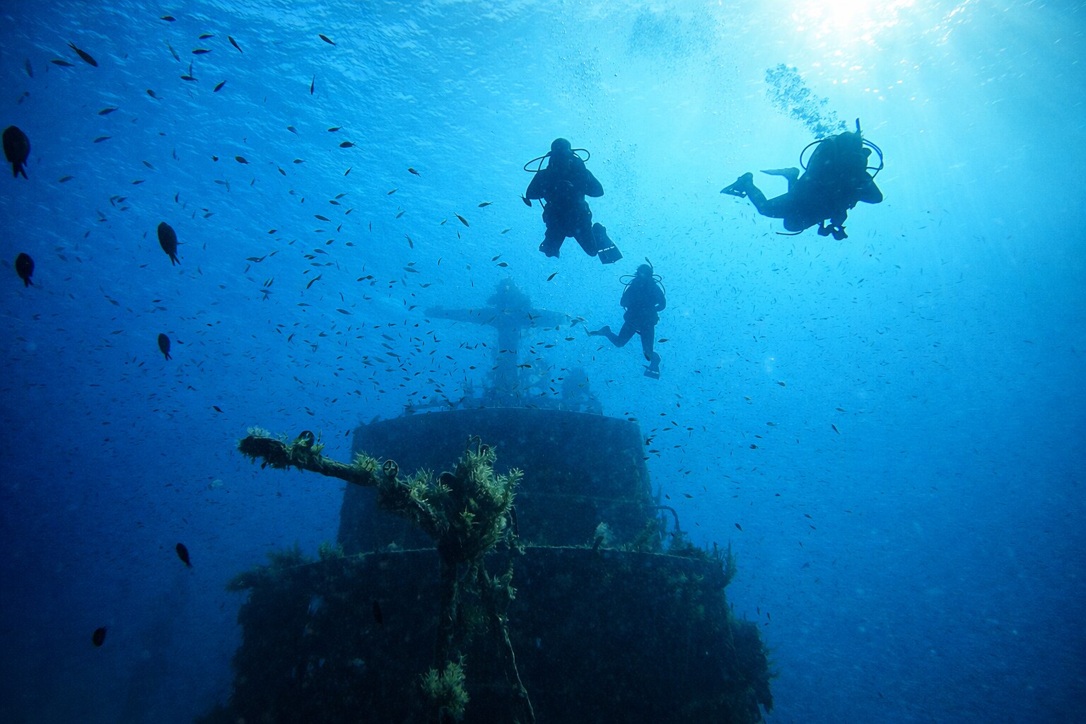 Explore PADI Specialties — Scuba Life Malta