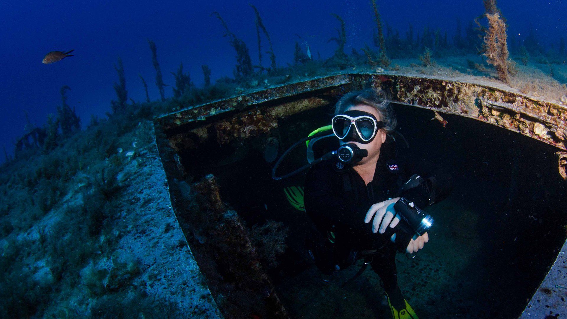 PADI Specialties